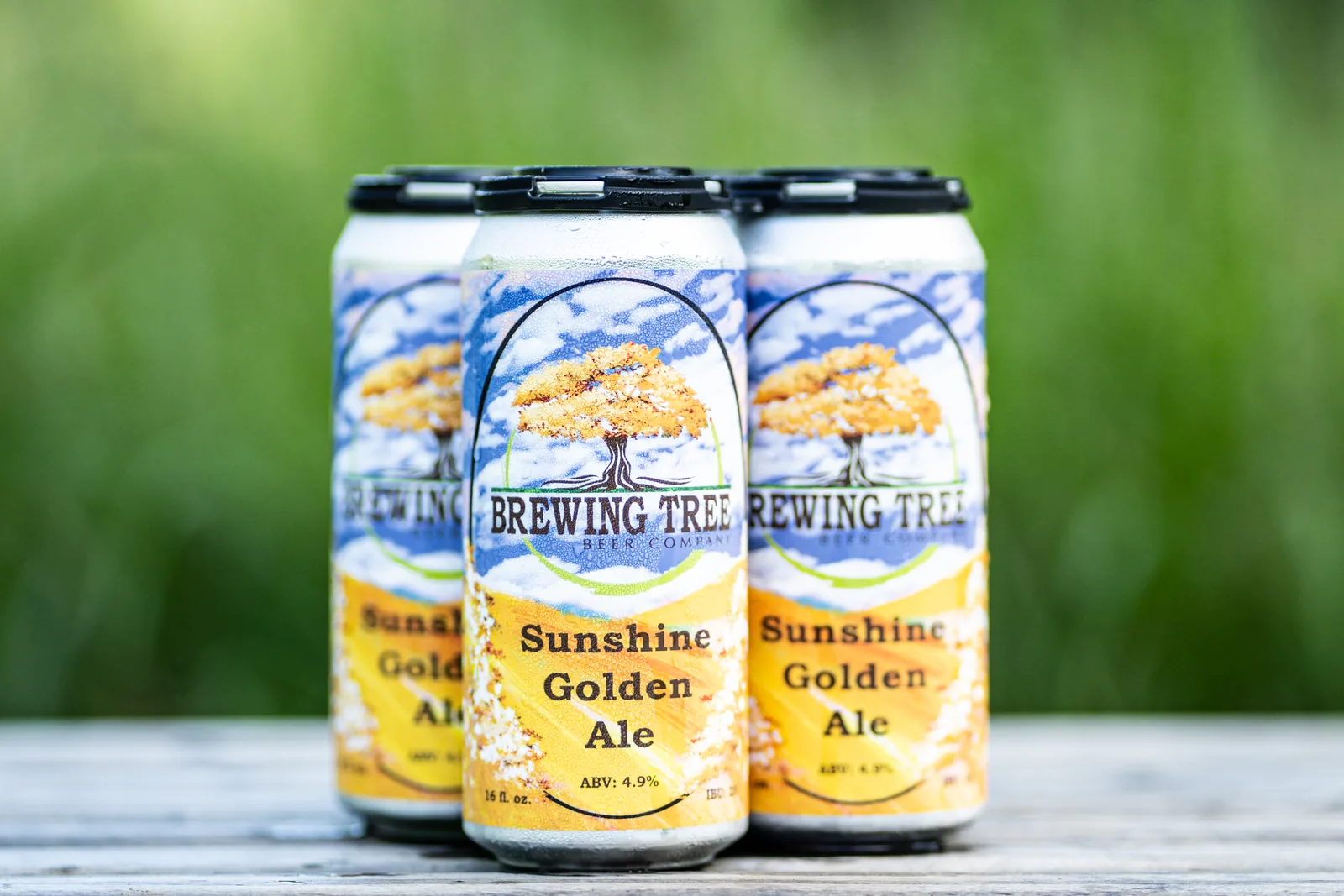 Sunshine Golden Ale in cans