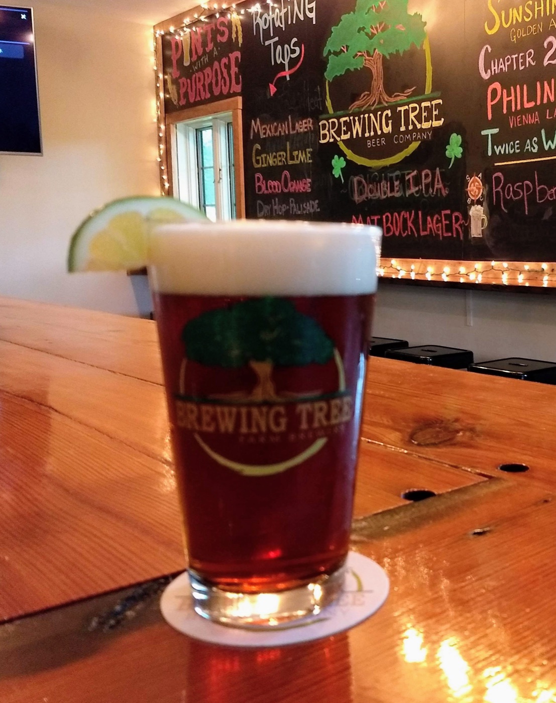 Mexican Lager