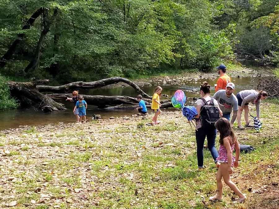 Kids exploring the creek at Brewing Tree