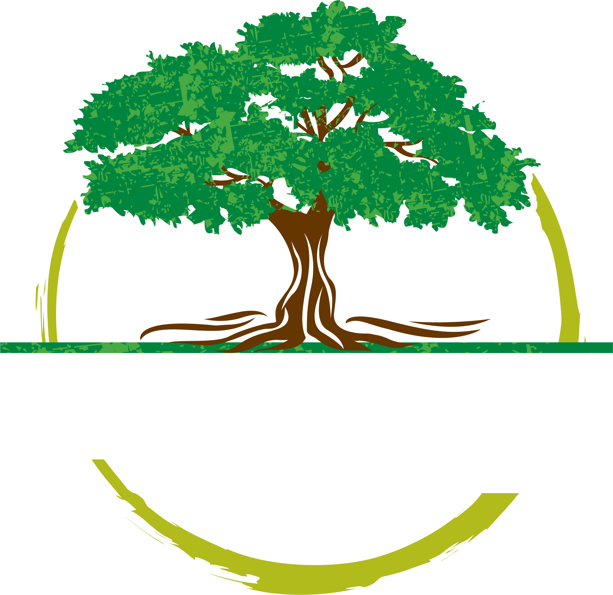 Brewing Tree Beer Company